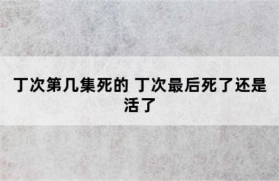 丁次第几集死的 丁次最后死了还是活了